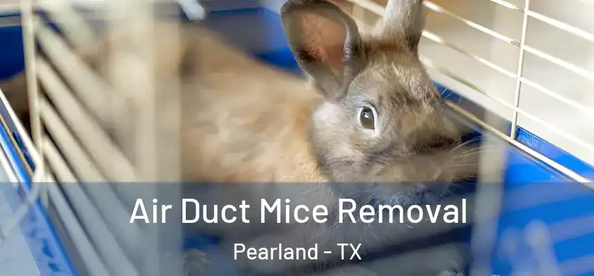 Air Duct Mice Removal Pearland - TX