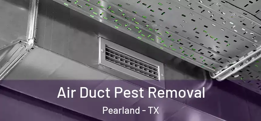 Air Duct Pest Removal Pearland - TX