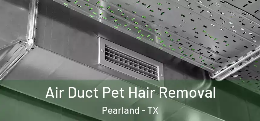Air Duct Pet Hair Removal Pearland - TX