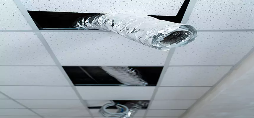 Our Air Duct Pet Hair Removal Services in Pearland, TX