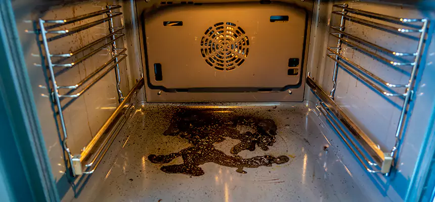 Our Dryer Vent Mold Cleaning Services in Pearland, TX