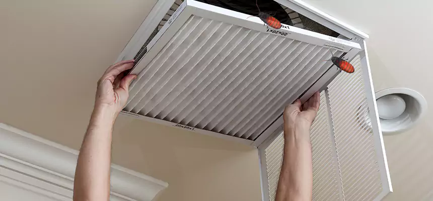 Our Insect Removal from Air Ducts Services in Pearland, TX