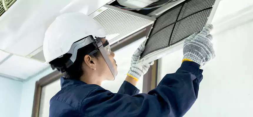 Our Mold & Mildew Removal from Air Ducts Services in Pearland, TX