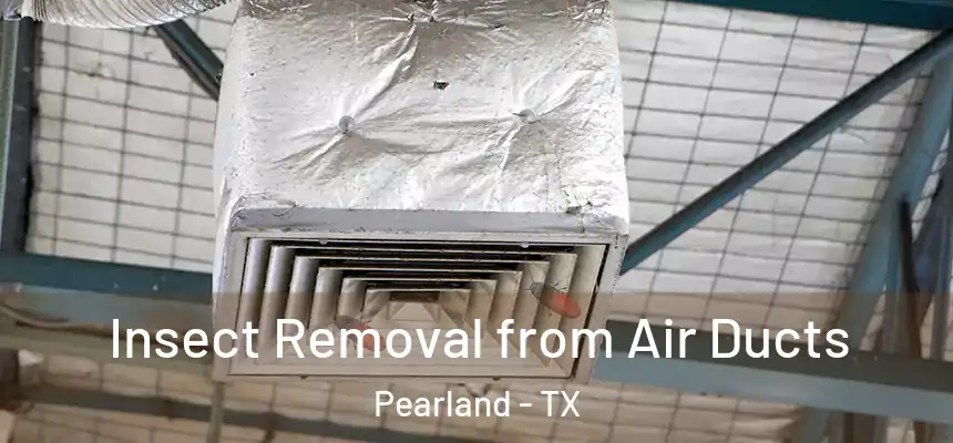 Insect Removal from Air Ducts Pearland - TX
