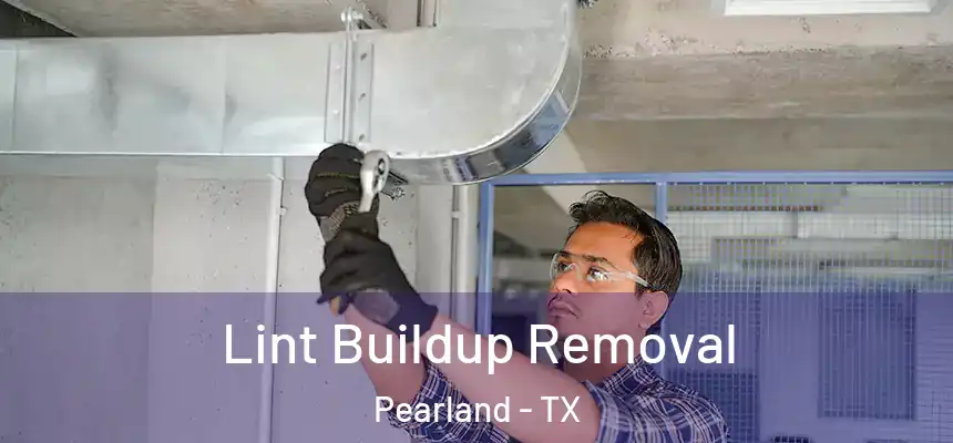  Lint Buildup Removal Pearland - TX