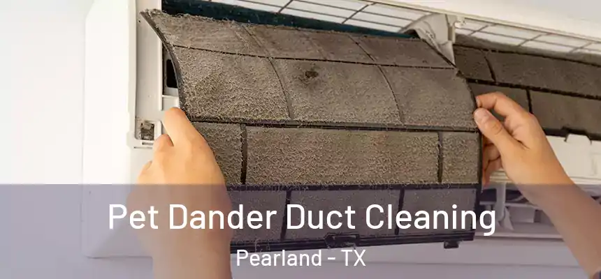 Pet Dander Duct Cleaning Pearland - TX