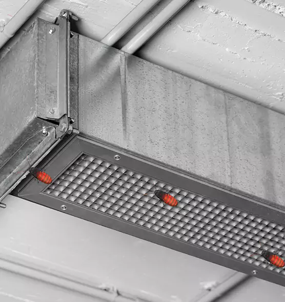 About Air Duct Cockroach Removal in Pearland, TX