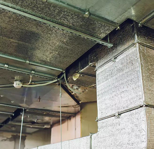 Why Homeowners & Businesses Trust Us in Pearland, TX?