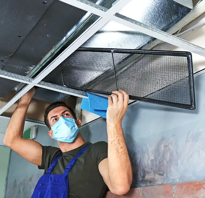 Why Homeowners & Businesses Trust Us in Pearland, TX?