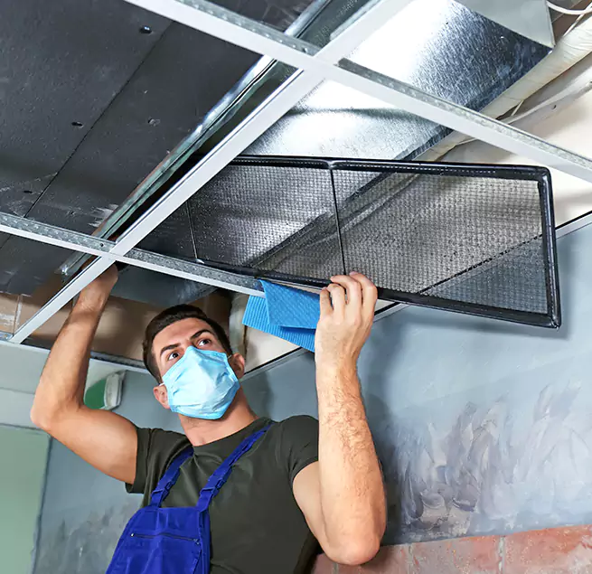  Why Homeowners Businesses Trust Us  in Pearland, TX?